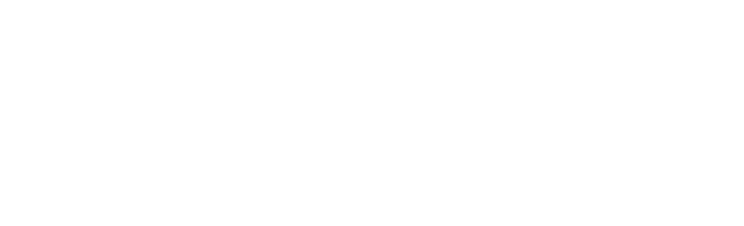 DANI DINIZ LOGO